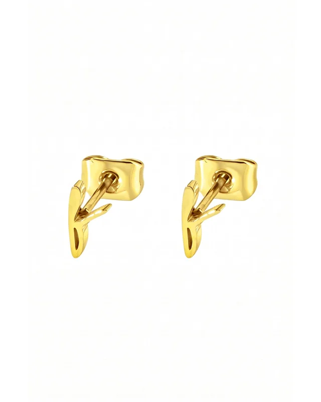 Σκουλαρίκια F earrings