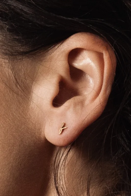Σκουλαρίκια F earrings